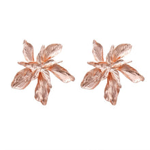 Load image into Gallery viewer, Iparam 2020 Nieuwe Grote Cirkel Ronde Hoop Oorbellen Voor Vrouwen Fashion Statement Gouden Punk Charm Oorbellen Partij Sieraden